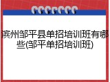 滨州邹平县单招培训班有哪些(邹平单招培训班)