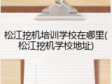 松江挖机培训学校在哪里(松江挖机学校地址)