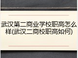 武汉第二商业学校职高怎么样(武汉二商校职高如何)