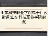 山东科技职业学院属于什么街道(山东科技职业学院街道)