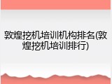 敦煌挖机培训机构排名(敦煌挖机培训排行)