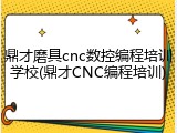 鼎才磨具cnc数控编程培训学校(鼎才CNC编程培训)