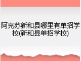 阿克苏新和县哪里有单招学校(新和县单招学校)