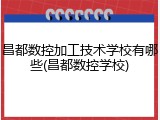 昌都数控加工技术学校有哪些(昌都数控学校)