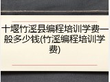 十堰竹溪县编程培训学费一般多少钱(竹溪编程培训学费)
