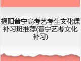 揭阳普宁高考艺考生文化课补习班推荐(普宁艺考文化补习)