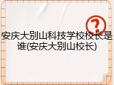 安庆大别山科技学校校长是谁(安庆大别山校长)