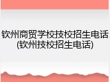 钦州商贸学校技校招生电话(钦州技校招生电话)