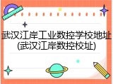 武汉江岸工业数控学校地址(武汉江岸数控校址)