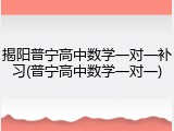 揭阳普宁高中数学一对一补习(普宁高中数学一对一)