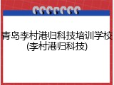 青岛李村港归科技培训学校(李村港归科技)