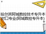 哈尔滨阿城数控技术专升本对口专业(阿城数控专升本)