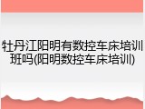 牡丹江阳明有数控车床培训班吗(阳明数控车床培训)