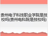 贵州电子科技职业学院是技校吗(贵州电科院是技校吗)