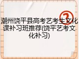 潮州饶平县高考艺考生文化课补习班推荐(饶平艺考文化补习)
