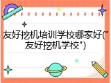 友好挖机培训学校哪家好("友好挖机学校")