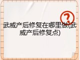 武威产后修复在哪里做(武威产后修复点)