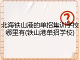 北海铁山港的单招集训学校哪里有(铁山港单招学校)