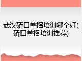 武汉硚口单招培训哪个好(硚口单招培训推荐)