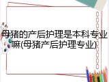 母猪的产后护理是本科专业嘛(母猪产后护理专业)