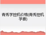 青秀学挖机价格(青秀挖机学费)