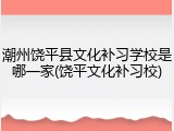 潮州饶平县文化补习学校是哪一家(饶平文化补习校)