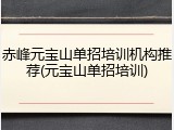赤峰元宝山单招培训机构推荐(元宝山单招培训)