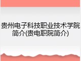 贵州电子科技职业技术学院简介(贵电职院简介)