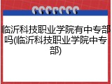 临沂科技职业学院有中专部吗(临沂科技职业学院中专部)