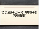 怎么查自己自考信息(自考信息查询)