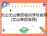 文山文山单招培训学校官网(文山单招官网)