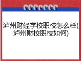 泸州财经学校职校怎么样(泸州财校职校如何)