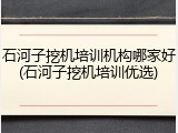 石河子挖机培训机构哪家好(石河子挖机培训优选)