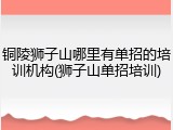 铜陵狮子山哪里有单招的培训机构(狮子山单招培训)