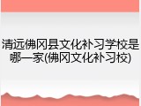 清远佛冈县文化补习学校是哪一家(佛冈文化补习校)