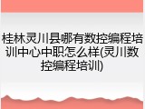 桂林灵川县哪有数控编程培训中心中职怎么样(灵川数控编程培训)