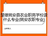 楚雄姚安县农业职高学校读什么专业(姚安农职专业)