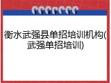 衡水武强县单招培训机构(武强单招培训)