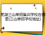 芜湖三山单招集训学校在哪里(三山单招学校地址)