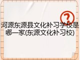 河源东源县文化补习学校是哪一家(东源文化补习校)