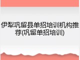 伊犁巩留县单招培训机构推荐(巩留单招培训)