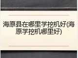 海原县在哪里学挖机好(海原学挖机哪里好)