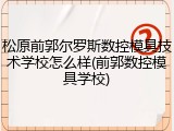 松原前郭尔罗斯数控模具技术学校怎么样(前郭数控模具学校)