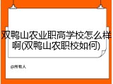 双鸭山农业职高学校怎么样啊(双鸭山农职校如何)