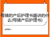 母猪的产后护理书籍讲的什么(母猪产后护理书)