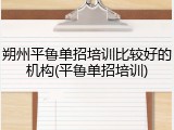 朔州平鲁单招培训比较好的机构(平鲁单招培训)