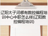 辽阳太子河哪有数控编程培训中心中职怎么样(辽阳数控编程培训)