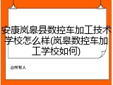 安康岚皋县数控车加工技术学校怎么样(岚皋数控车加工学校如何)