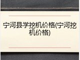 宁河县学挖机价格(宁河挖机价格)