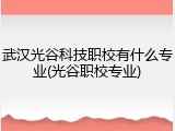 武汉光谷科技职校有什么专业(光谷职校专业)